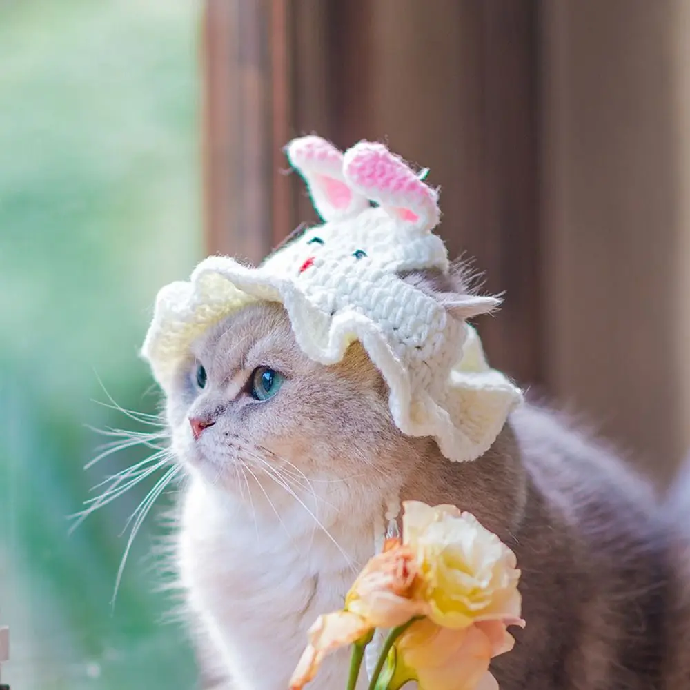 Winter Cat Hat Elastic Cute Refined Pet Hat Puppy Kittens Knitted Hat Party Photo Shoot Props Decoration Cat Accessories
Winter Cat Hat Elastic Cute Refined Pet Hat Puppy Kittens Knitted Hat Party Photo Shoot Props Decoration Cat Accessories