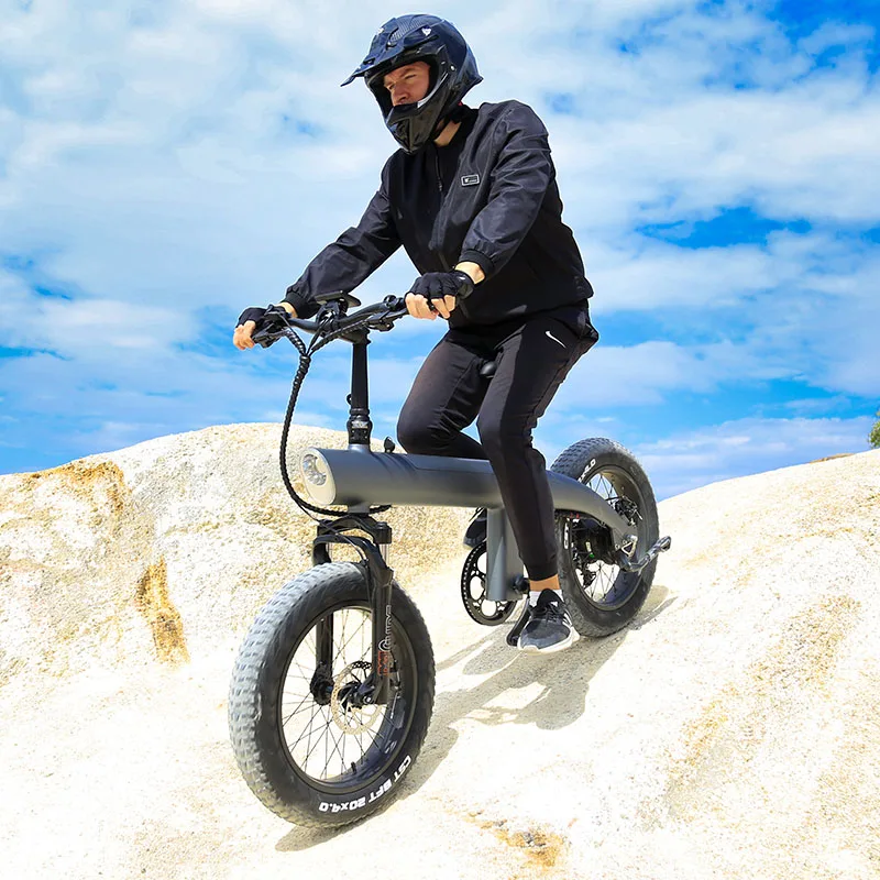 48v removable lithium battery ebike off road electric mountain road folding fat bike 20 inch Rear hub motor fat tyre ebike
48v removable lithium battery ebike off road electric mountain road folding fat bike 20 inch Rear hub motor fat tyre ebike