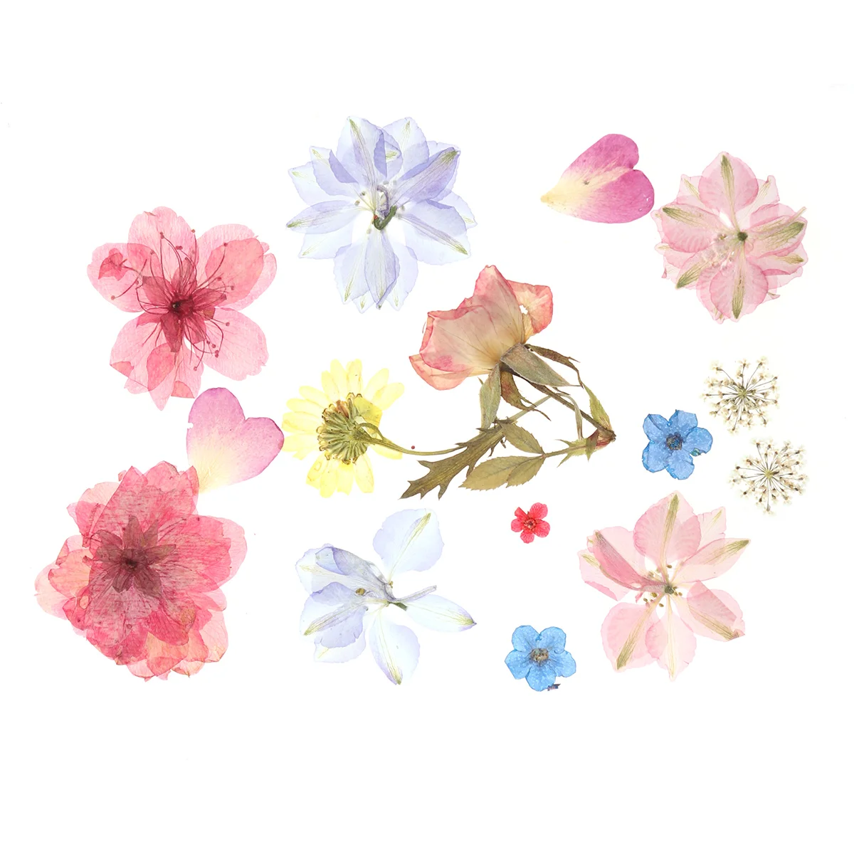 1 Sheet Stickers Decorative Personality Facial Dry Flower Natural Flower Decals for Girls Ladies
1 Sheet Stickers Decorative Personality Facial Dry Flower Natural Flower Decals for Girls Ladies
