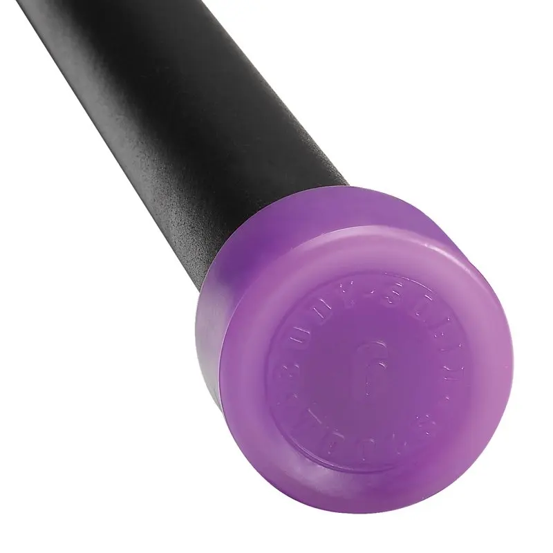 BSTFB6 6 lb Fitness Bar - Light Purple 
BSTFB6 6 lb Fitness Bar - Light Purple