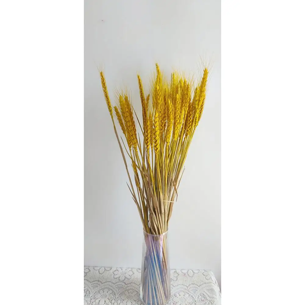 30Pack Natural Dried Wheat Ear Flowers Real Wheat Ear Flower For Wedding Decoration Dried Reed Grass Flower DIY Craft Bouquet
30Pack Natural Dried Wheat Ear Flowers Real Wheat Ear Flower For Wedding Decoration Dried Reed Grass Flower DIY Craft Bouquet