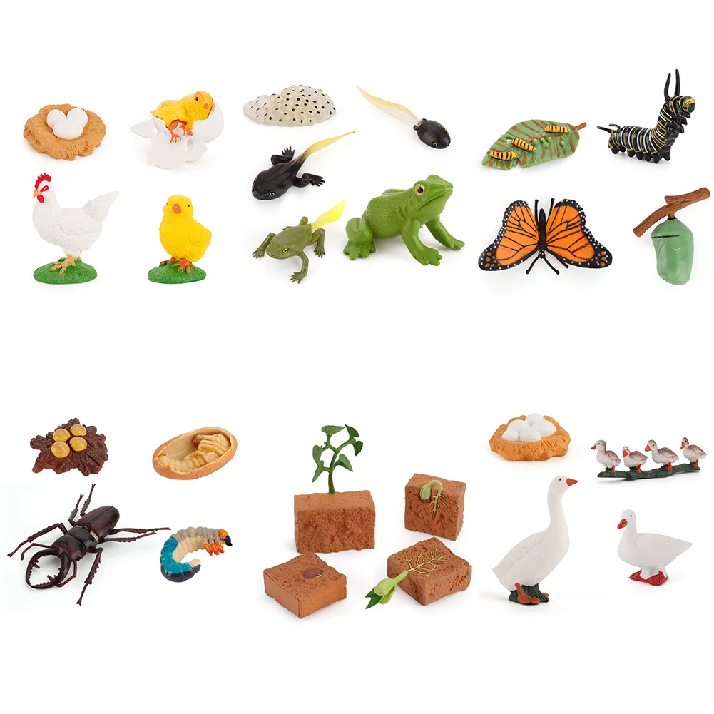 Frog Butterfly Chicken Life Cycle Figurine Plastic Models Kids Science Educational Toy Gifts for Children Kids
Frog Butterfly Chicken Life Cycle Figurine Plastic Models Kids Science Educational Toy Gifts for Children Kids