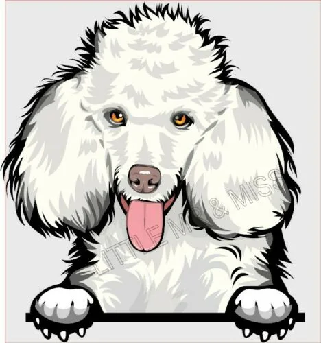 For POODLE Standard Peeking Dog Breed Color Window Wall Laptop Sticker w/proof 
For POODLE Standard Peeking Dog Breed Color Window Wall Laptop Sticker w/proof