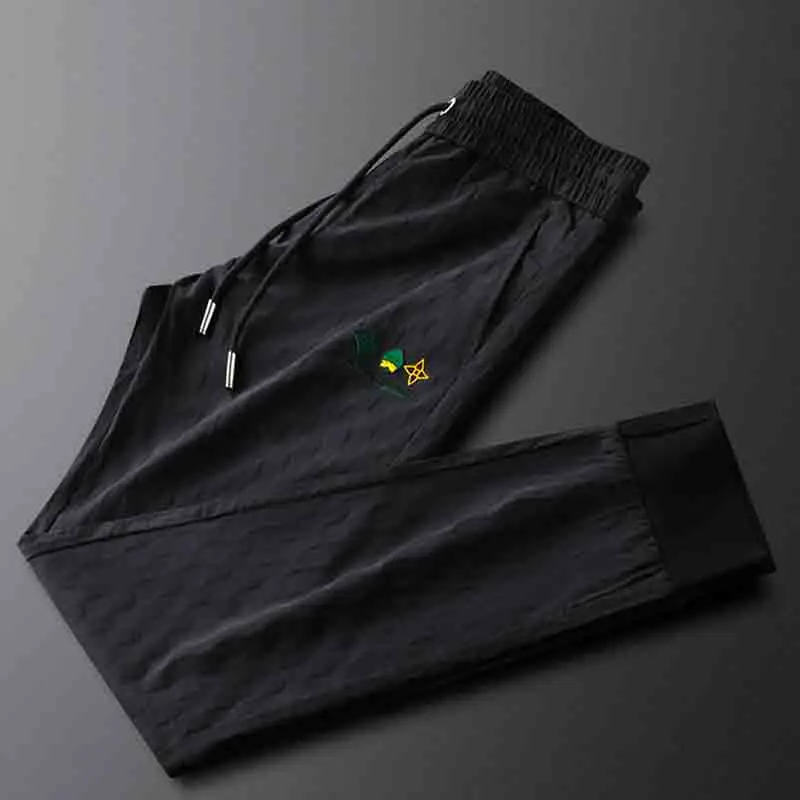 Light luxury mallard duck head pants men's summer thin section quick-drying men's ice silk casual sports pants tide
Light luxury mallard duck head pants men's summer thin section quick-drying men's ice silk casual sports pants tide