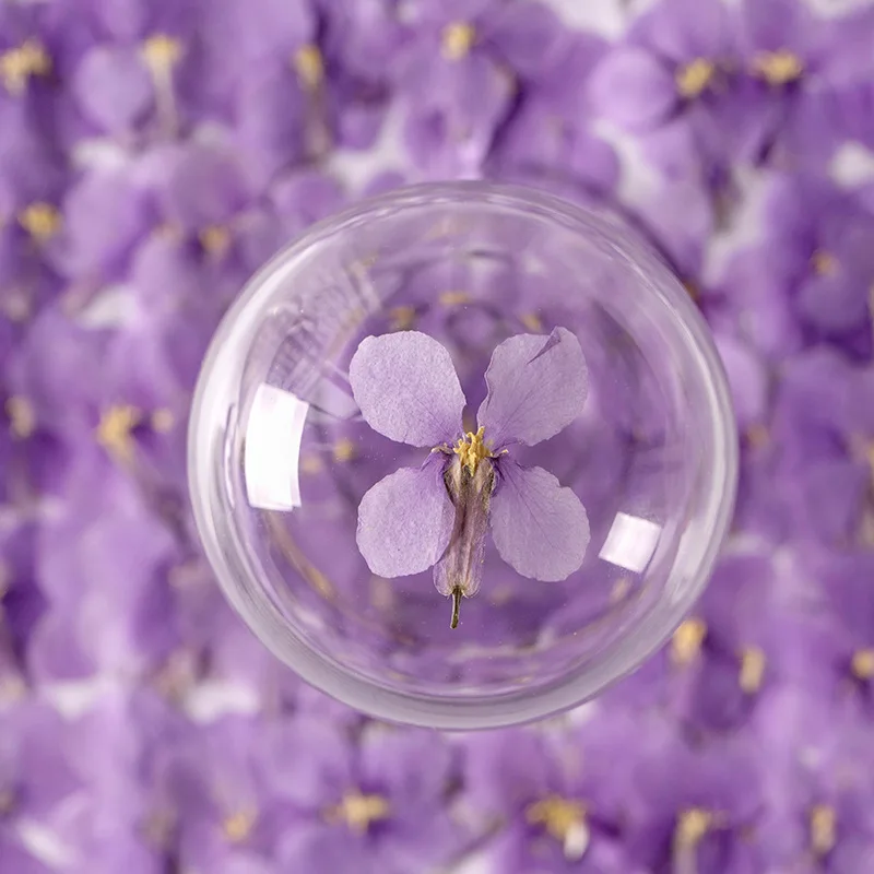 24pcs/pack Dried Flower Orychophragmus Violaceus Flower DIY Drip Glue Pressed Flower Nail Art Soap Candle Paper Making Handmade
24pcs/pack Dried Flower Orychophragmus Violaceus Flower DIY Drip Glue Pressed Flower Nail Art Soap Candle Paper Making Handmade