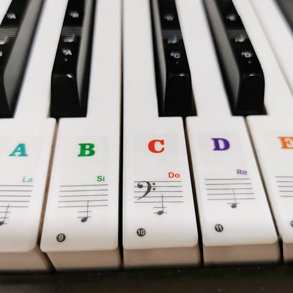 For 49/54/61/88 Keys Piano Key Sticker Keyboard Note 15.5*40MM Environmental For Enthusiasts Removable Brand New
For 49/54/61/88 Keys Piano Key Sticker Keyboard Note 15.5*40MM Environmental For Enthusiasts Removable Brand New