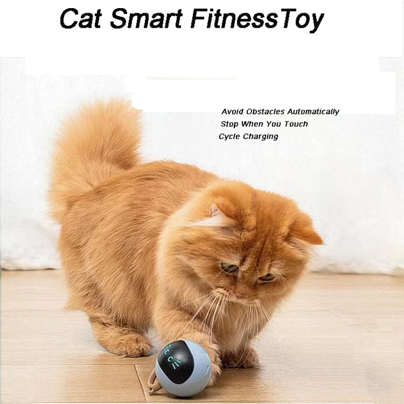 Cats Exercise Toys Automatic Cat Ball Toys Interactive Electric USB Rechargeable Self Rotating Indoor Teaser Selfplay for Pet
Cats Exercise Toys Automatic Cat Ball Toys Interactive Electric USB Rechargeable Self Rotating Indoor Teaser Selfplay for Pet