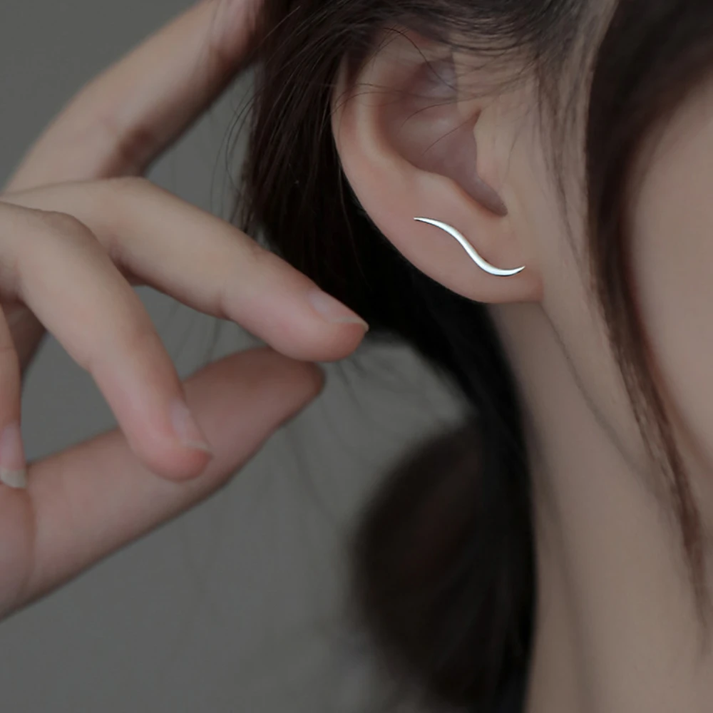 Streamline Silver Stud Earrings Women's Summer Earrings 2022 New Wave Simple Earrings Jewelry Ear Rings
Streamline Silver Stud Earrings Women's Summer Earrings 2022 New Wave Simple Earrings Jewelry Ear Rings
