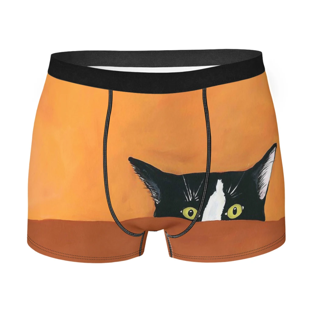 Мужские дышащие трусы-боксеры с принтом в виде кошки
Мужские дышащие трусы-боксеры с принтом в виде кошки