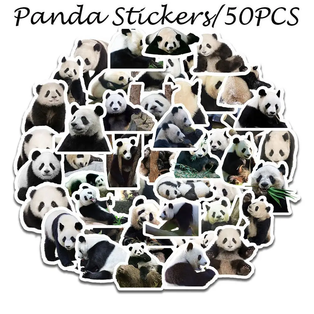 Cute, Stupid, Stickers Round, Rolling Panda, Cute Animal, Electric Car, Notebook, Personalized Skateboard, Helmet Sticker
Cute, Stupid, Stickers Round, Rolling Panda, Cute Animal, Electric Car, Notebook, Personalized Skateboard, Helmet Sticker
