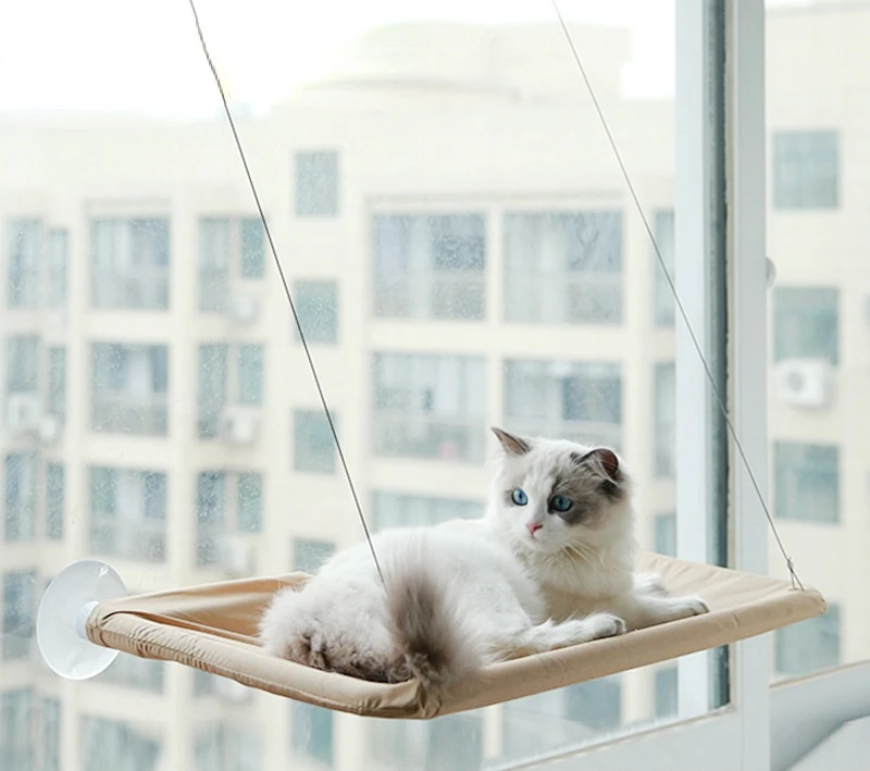 Cat Bed Window Cat Window Hammock Window Perch Safety Cat Shelves Space Saving Window Mounted Cat Seat for Large Cats Cat Bed 
Cat Bed Window Cat Window Hammock Window Perch Safety Cat Shelves Space Saving Window Mounted Cat Seat for Large Cats Cat Bed