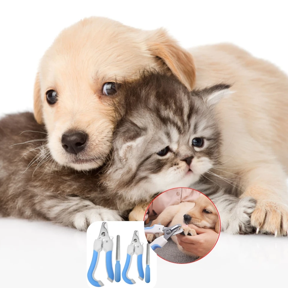 Pet Nail Scissors Pet Dog Nail Toe Claw s Scissors Trimmer Grooming Tools For Animals General Pet Supplies
Pet Nail Scissors Pet Dog Nail Toe Claw s Scissors Trimmer Grooming Tools For Animals General Pet Supplies