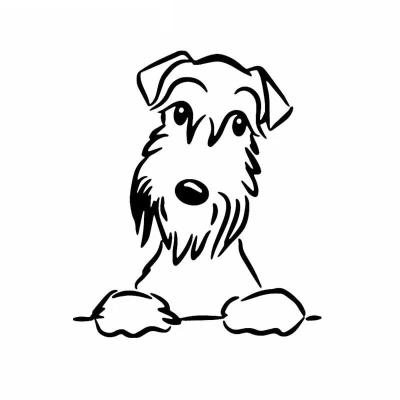 Виниловая наклейка на окно автомобиля, 15 см * 13 см
Виниловая наклейка на окно автомобиля, 15 см * 13 см