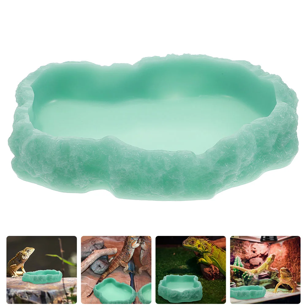 Reptile Bowl Dishwater Feeding Terrarium Luminous Gecko Resin Decor Tortoise Feeder Plate Glow Snake Tankdark Lizard Delicate
Reptile Bowl Dishwater Feeding Terrarium Luminous Gecko Resin Decor Tortoise Feeder Plate Glow Snake Tankdark Lizard Delicate