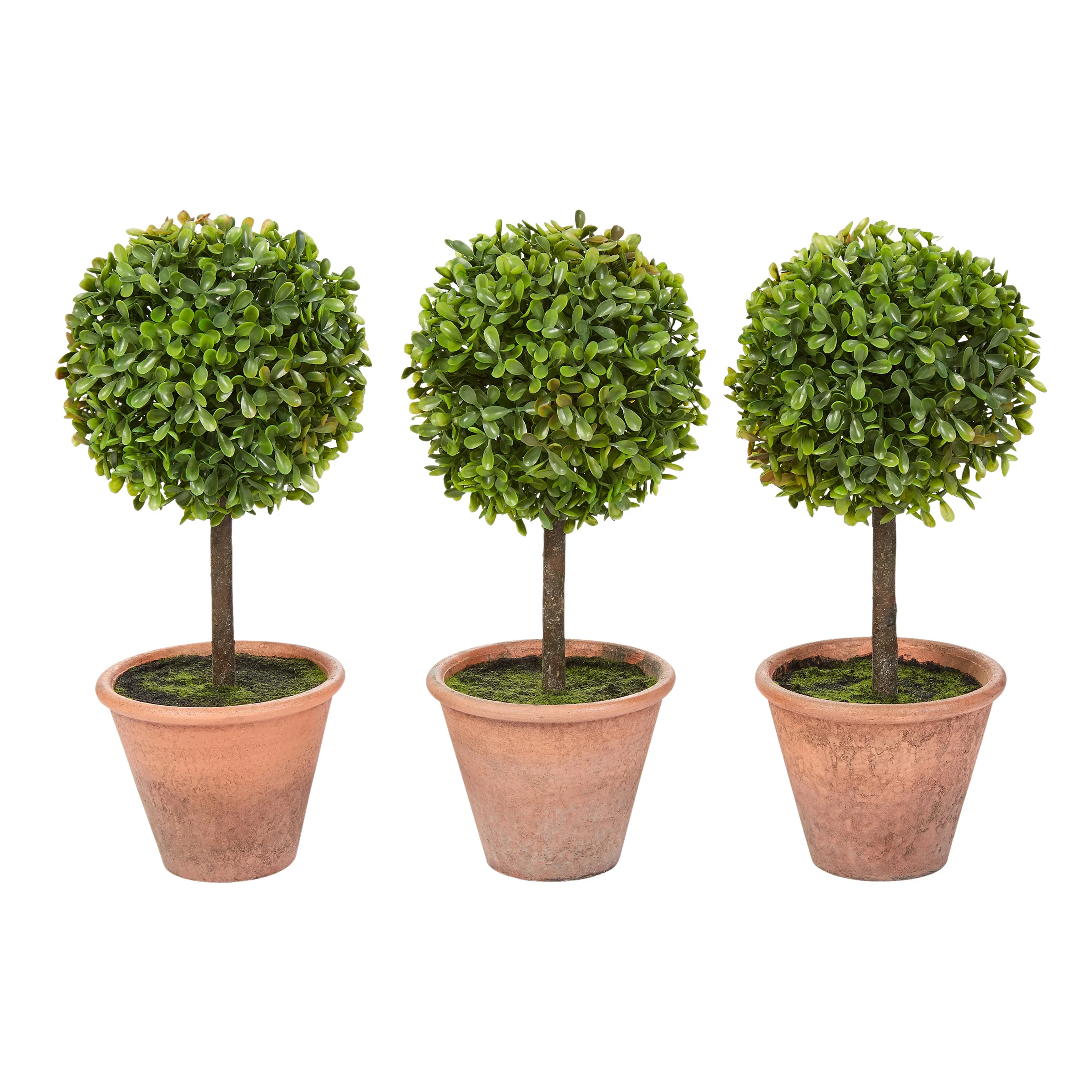 Pure Garden Faux Boxwood-3 Arrangements Matching Realistic Topiary in Decorative Pots (Set of 3) 11.5"
Pure Garden Faux Boxwood-3 Arrangements Matching Realistic Topiary in Decorative Pots (Set of 3) 11.5"