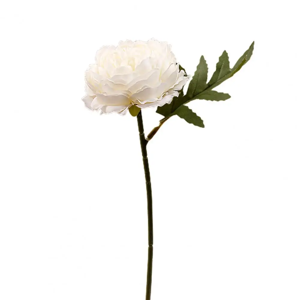 Искусственный цветок Paeonia из искусственного шелка, реалистичная форма, букет искусственных цветов ручной работы, цветочное украшение для п...
Искусственный цветок Paeonia из искусственного шелка, реалистичная форма, букет искусственных цветов ручной работы, цветочное украшение для п...