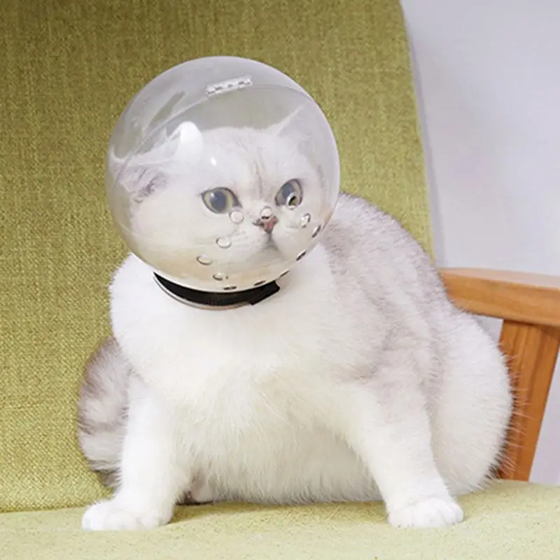 Защитный чехол для головы котенка шлем котенка космическая маска для кошек Воздухопроницаемый объемный капюшон намордник для питомца для купания принадлежности для уборки питомцев
Защитный чехол для головы котенка шлем котенка космическая маска для кошек Воздухопроницаемый объемный капюшон намордник для питомца для купания принадлежности для уборки питомцев