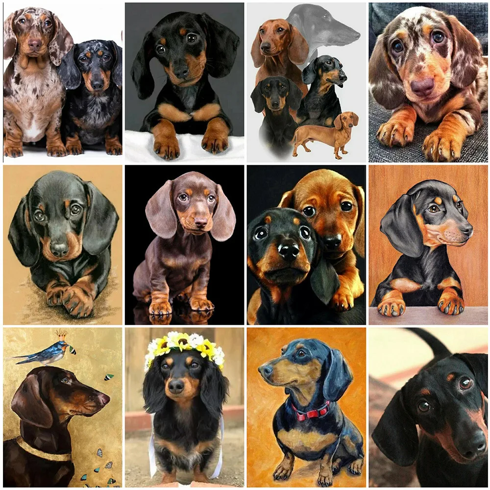 MAXMPUP Diamond Embroidery Animal Diamond Painting Full Drill Square Dog Beaded Rhinestones Art Cross Stitch Set Decor for Home
MAXMPUP Diamond Embroidery Animal Diamond Painting Full Drill Square Dog Beaded Rhinestones Art Cross Stitch Set Decor for Home