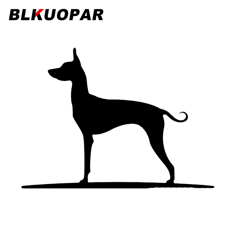 BLKUOPAR мексиканские безволокнистые наклейки, Необычные наклейки, графические персональные устойчивые к царапинам аксессуары для багажника ...
BLKUOPAR мексиканские безволокнистые наклейки, Необычные наклейки, графические персональные устойчивые к царапинам аксессуары для багажника ...
