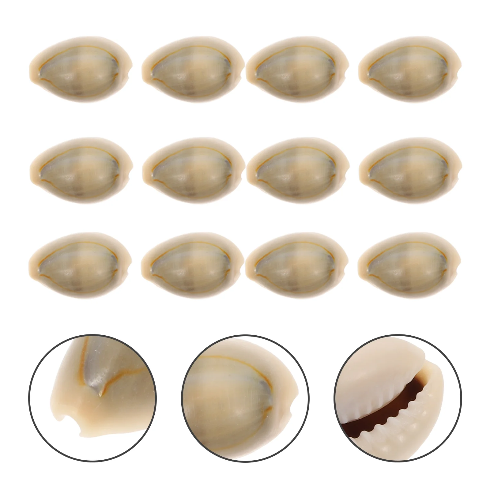 100pcs Portable Delicate Landscaping Natural Shell Fish Tank Shell Aquarium Decoration
100pcs Portable Delicate Landscaping Natural Shell Fish Tank Shell Aquarium Decoration