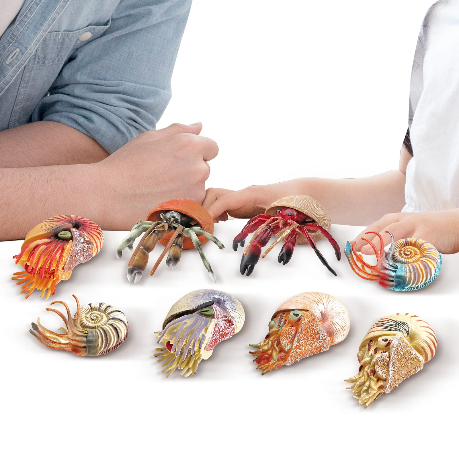 Sea Animal Figures Bulk Sea Marine Animal Figures Nautilus Hermit Crab Toy Ornament 8 Unique Sea Animals Attractive Colors
Sea Animal Figures Bulk Sea Marine Animal Figures Nautilus Hermit Crab Toy Ornament 8 Unique Sea Animals Attractive Colors