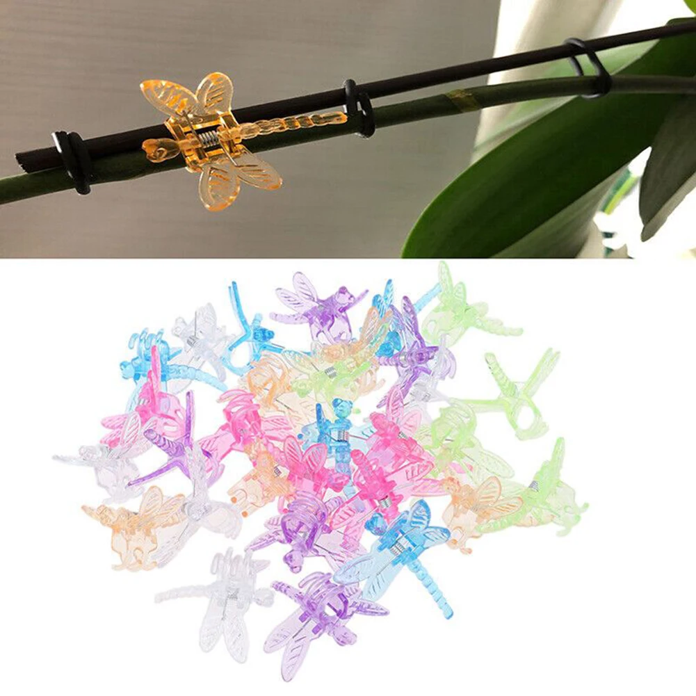 30Pcs Dragonfly Orchid Clip Garden Plant Clamps For Support Climbing Flower Vine Decoration Ornamental Vine Support Fixed
30Pcs Dragonfly Orchid Clip Garden Plant Clamps For Support Climbing Flower Vine Decoration Ornamental Vine Support Fixed