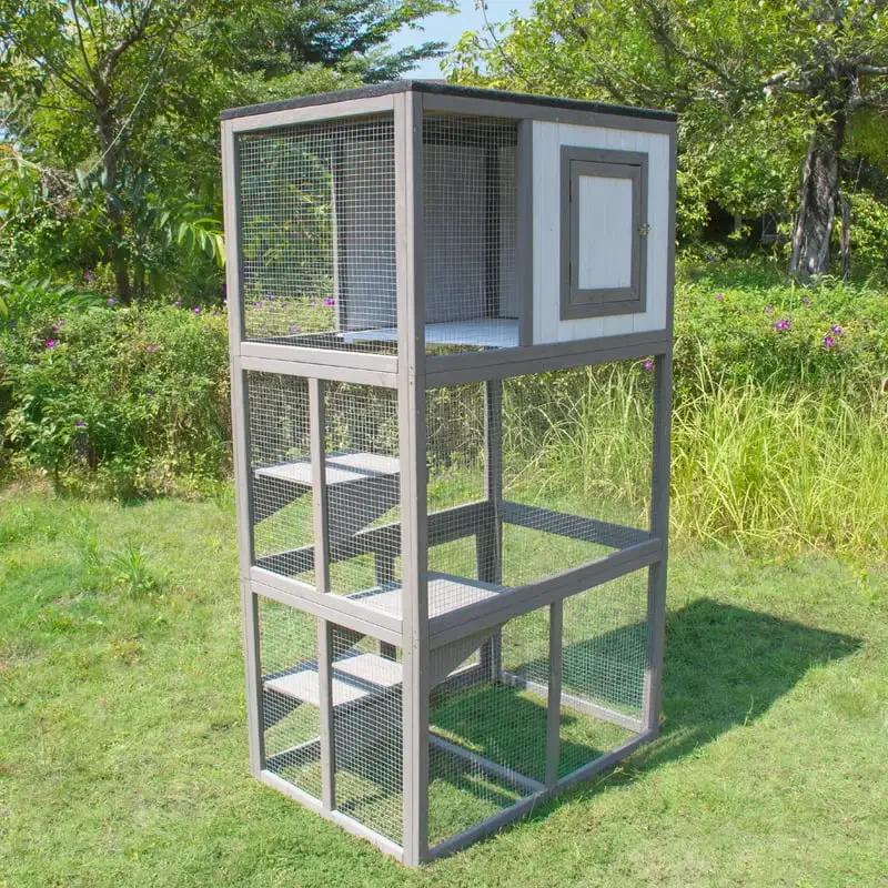 Enclosure Climber House
Enclosure Climber House