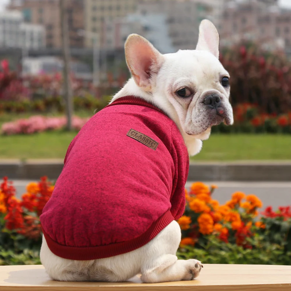 Small Animals Winter Cloth Jacket Outdoor Traveling Pet Sweater For Dogs And Cats Nice Cute Sweater Suitable For Puppies Kitten
Small Animals Winter Cloth Jacket Outdoor Traveling Pet Sweater For Dogs And Cats Nice Cute Sweater Suitable For Puppies Kitten