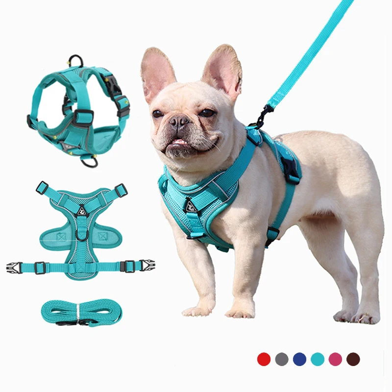 Шлейка-жилет для собак Светоотражающая, Воздухопроницаемый поводок, регулируемый нагрудный ремень, комплект
Шлейка-жилет для собак Светоотражающая, Воздухопроницаемый поводок, регулируемый нагрудный ремень, комплект