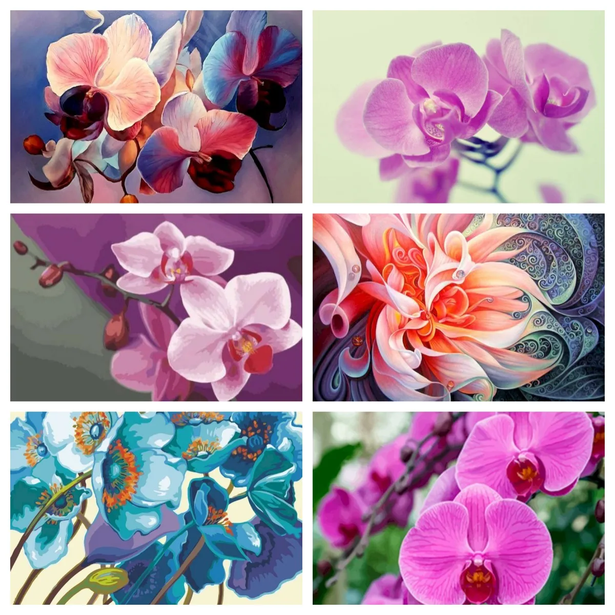 DIY 5D Diamond Painting Flower Orchid Cross Stitch Embroidery Mosaic Rhinestone Pic Home Decoration Handwork Personalized Gift
DIY 5D Diamond Painting Flower Orchid Cross Stitch Embroidery Mosaic Rhinestone Pic Home Decoration Handwork Personalized Gift
