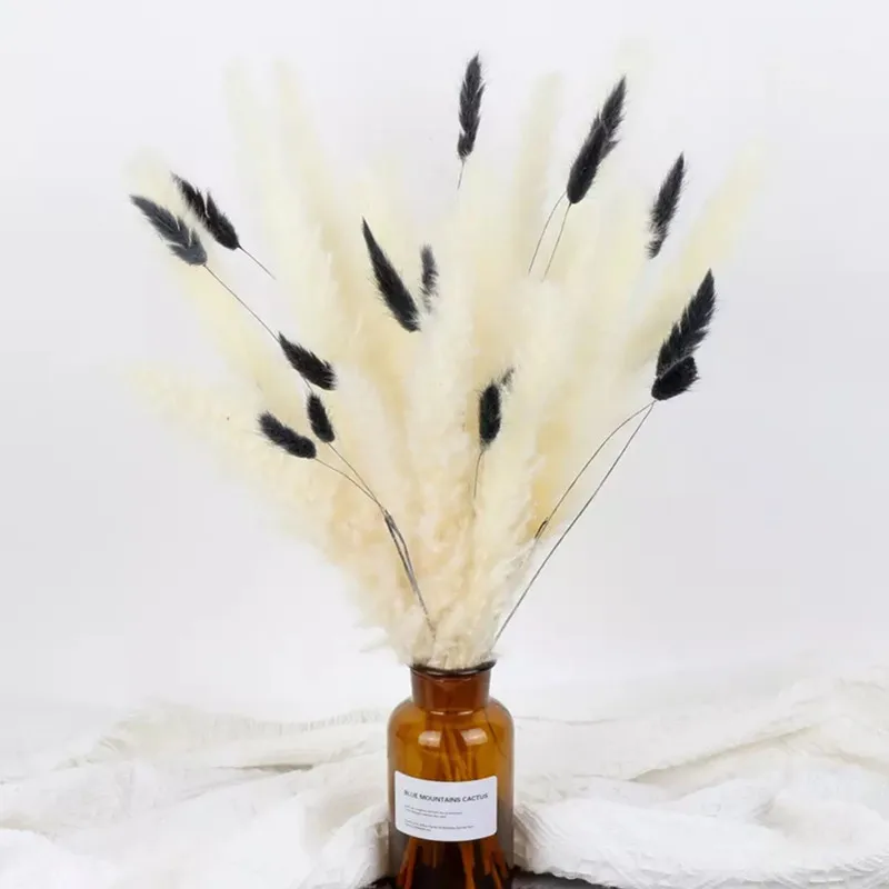 30pcs Natural Dried Pampas Grass Reed Grass Plume Dried Flower Phragmites Communis for Wedding Flower Arrangements Home Decor
30pcs Natural Dried Pampas Grass Reed Grass Plume Dried Flower Phragmites Communis for Wedding Flower Arrangements Home Decor