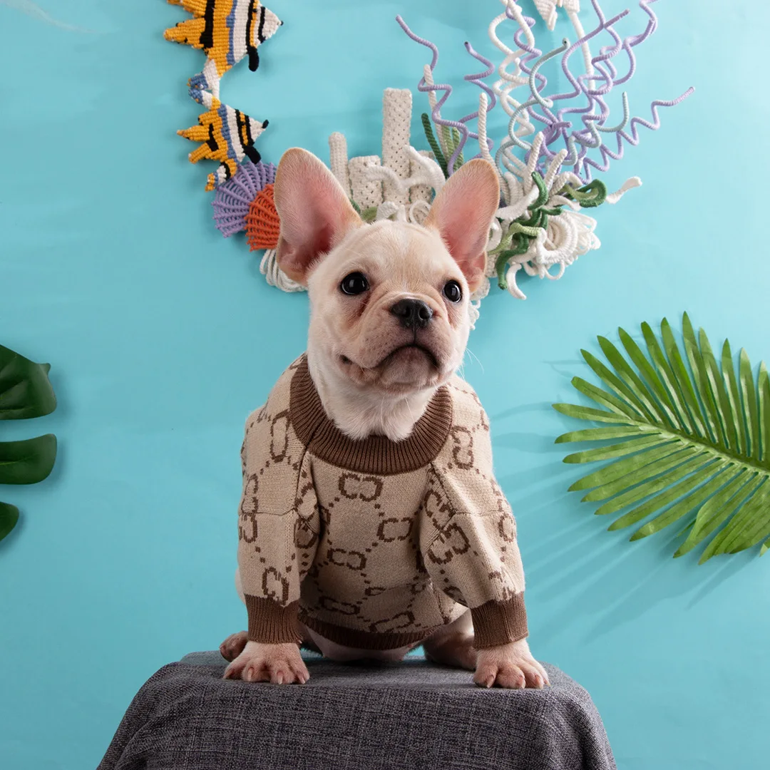Designer Dog Clothes Pet Clothing Trend Fall Winter Fadou Schnauzer Corgi Comfortable Warm Sweater Dog Costume
Designer Dog Clothes Pet Clothing Trend Fall Winter Fadou Schnauzer Corgi Comfortable Warm Sweater Dog Costume