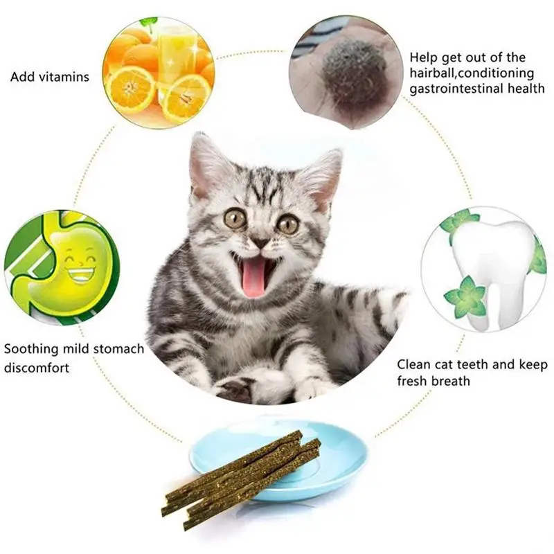 6PC Cleaning Tooth For Pet Silvervine Products Kitten Chew Toys Catnip Sticks Matatabi Semente
6PC Cleaning Tooth For Pet Silvervine Products Kitten Chew Toys Catnip Sticks Matatabi Semente