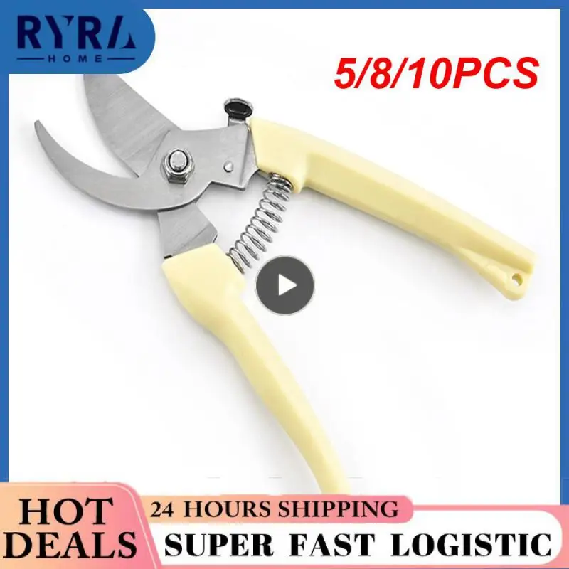 5/8/10PCS Color Beige Easy To Use Orchard Scissors Durable Garden Pruning Shears Convenient Professional Garden Trimmer
5/8/10PCS Color Beige Easy To Use Orchard Scissors Durable Garden Pruning Shears Convenient Professional Garden Trimmer