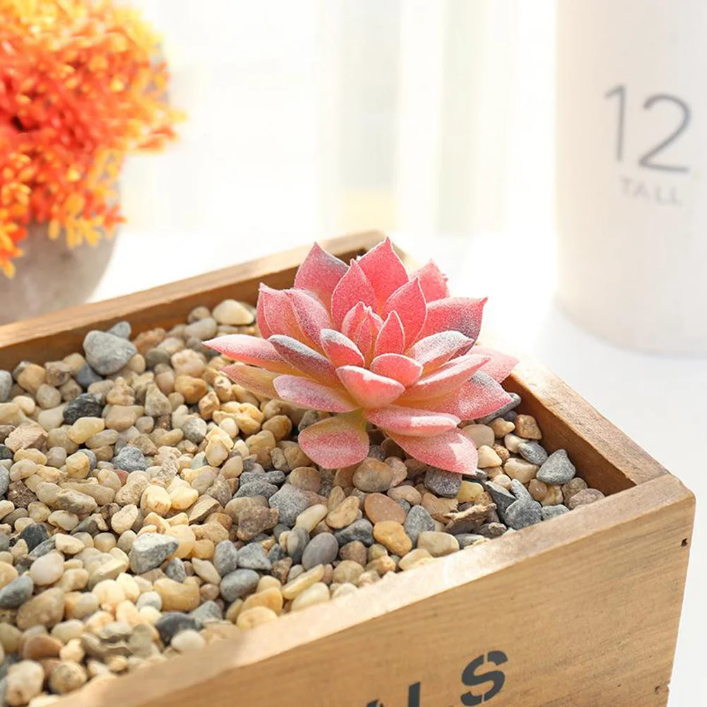 Artificial Succulents Plant Garden Potted Wedding Parties 1 Piece Colourful For Wedding Parties Home Decorations
Artificial Succulents Plant Garden Potted Wedding Parties 1 Piece Colourful For Wedding Parties Home Decorations