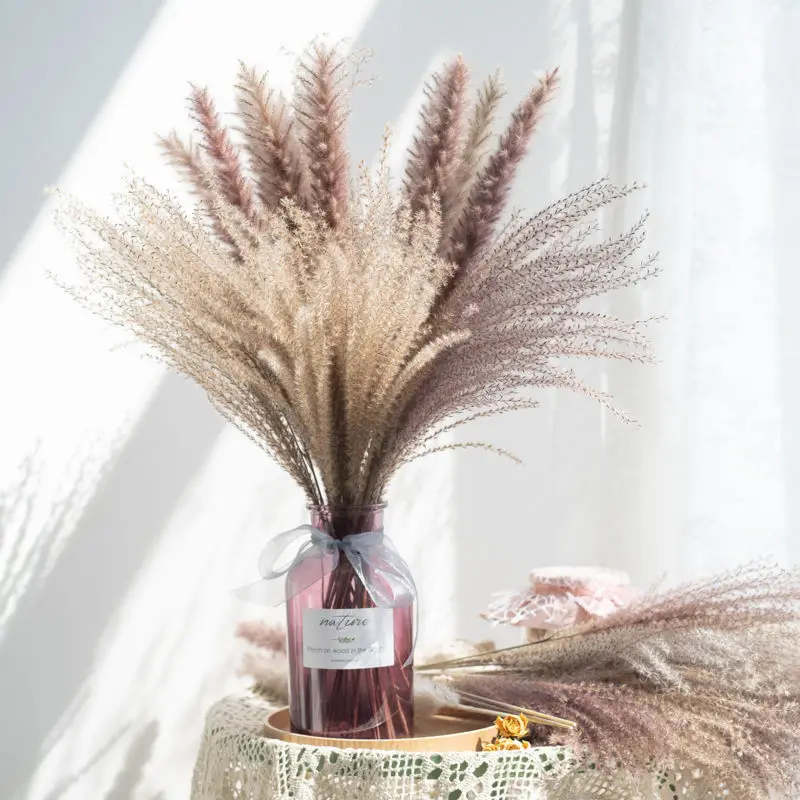 Real Natural Pampas Reed Dried Flowers Home B Decoration Window Wedding Stage Scene Dress Up Horsetail Whisk
Real Natural Pampas Reed Dried Flowers Home B Decoration Window Wedding Stage Scene Dress Up Horsetail Whisk