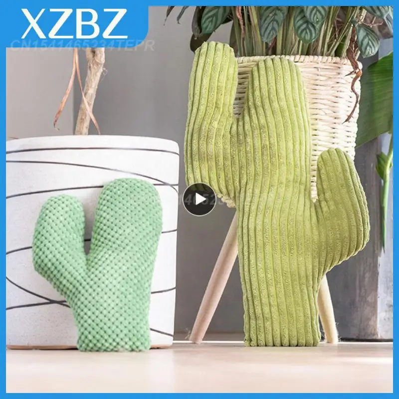 Cat Toys Interactive Chew Resistant Cat Products Toys For Cats Lovely Cat Accessories Molars Cat Mint Cat Mint Toy Toys Cactus
Cat Toys Interactive Chew Resistant Cat Products Toys For Cats Lovely Cat Accessories Molars Cat Mint Cat Mint Toy Toys Cactus