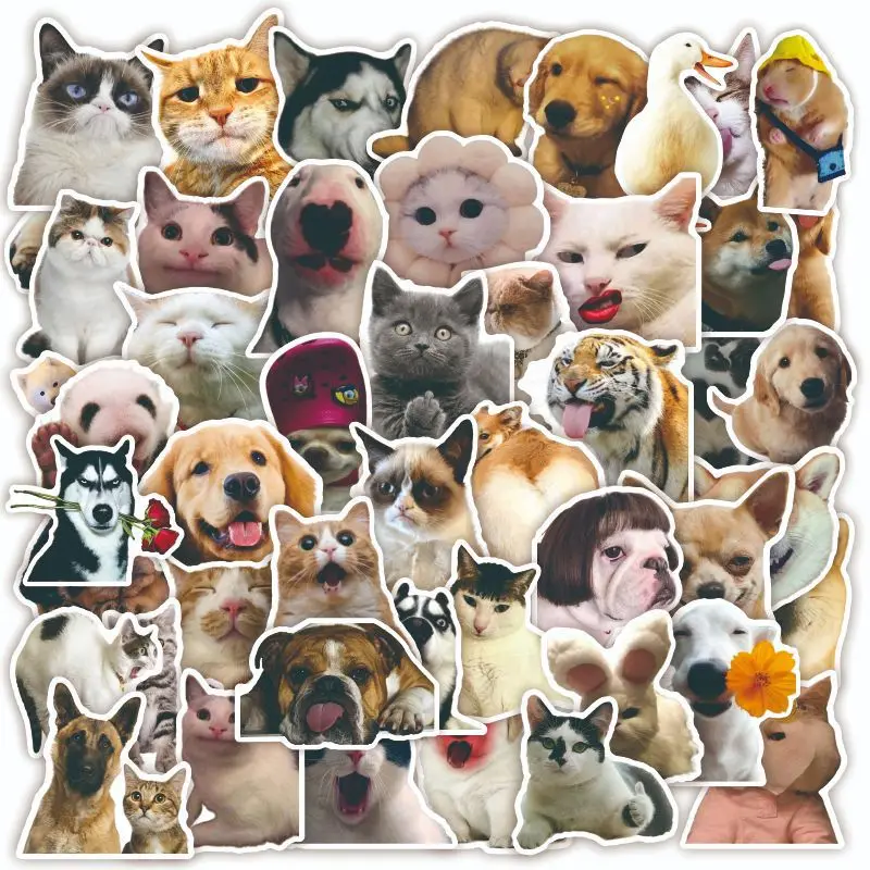 

10/30/50pcs Memes Pet Stickers Doodle DIY Decoration Handbook Album Phone Case Cup Skateboard Suitcase Waterproof Sticker