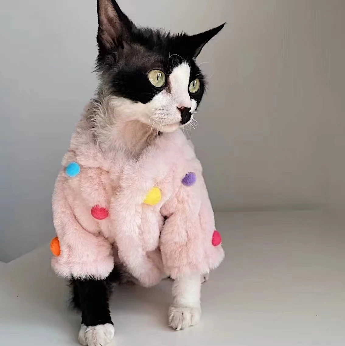 Sphinx Cat Winter Coat Soft Plush Warm Verdant Pet Coat With Zipper New Cute Pink Clothes Luxury Colorful Hair Ball Equipment
Sphinx Cat Winter Coat Soft Plush Warm Verdant Pet Coat With Zipper New Cute Pink Clothes Luxury Colorful Hair Ball Equipment
