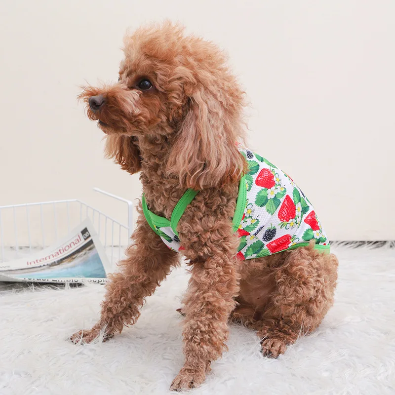 Summer Outdoor Breathable Avocado Dog Sling Undershirt Teddy Bichon Puppy Dog Clothes Wholesale
Summer Outdoor Breathable Avocado Dog Sling Undershirt Teddy Bichon Puppy Dog Clothes Wholesale