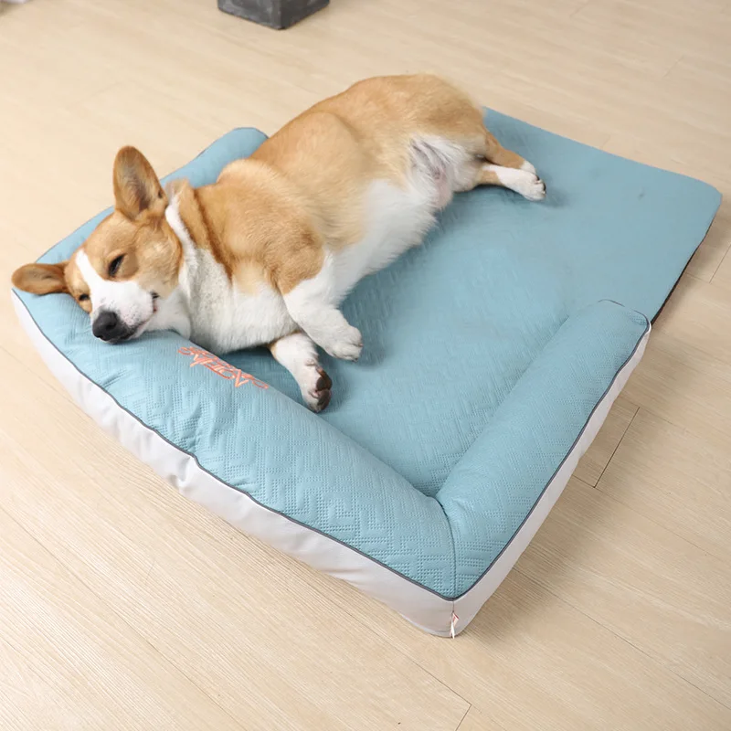 Four seasons universal silk cotton material comfortable dog bed anti-bite dog cushion small and medium dog deep sleep dog sofa
Four seasons universal silk cotton material comfortable dog bed anti-bite dog cushion small and medium dog deep sleep dog sofa