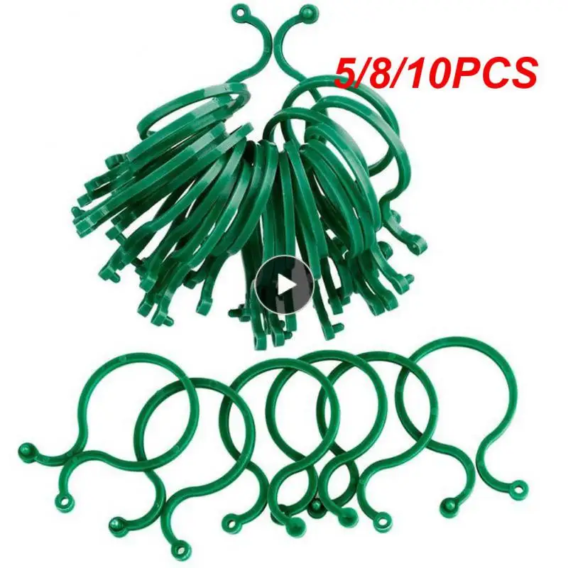 5/8/10PCS Fixture Vine Plant Climbing Plant Wall Climbing Vine Clips Fixed Buckle Hook Wall Self-adhesive
5/8/10PCS Fixture Vine Plant Climbing Plant Wall Climbing Vine Clips Fixed Buckle Hook Wall Self-adhesive