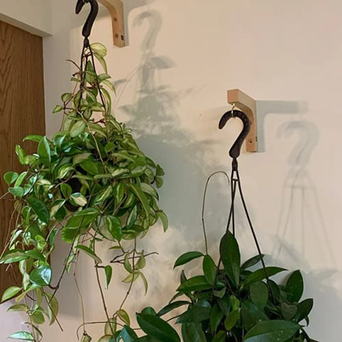 2Pcs Hanging Plant Hook,Plant Hangers Indoor, Wooden Hanging Basket Hooks for Indoor Flower Baskets Pot Lanterns Planter
2Pcs Hanging Plant Hook,Plant Hangers Indoor, Wooden Hanging Basket Hooks for Indoor Flower Baskets Pot Lanterns Planter