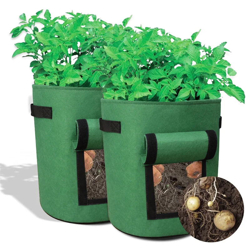 Искусственная сумка для овощей, лука, домашнего сада, сумка для растений, ручка из искусственной кожи, утолщенная садовая сумка для выращивания моркови, таро, арахиса, 2 шт.
Искусственная сумка для овощей, лука, домашнего сада, сумка для растений, ручка из искусственной кожи, утолщенная садовая сумка для выращивания моркови, таро, арахиса, 2 шт.