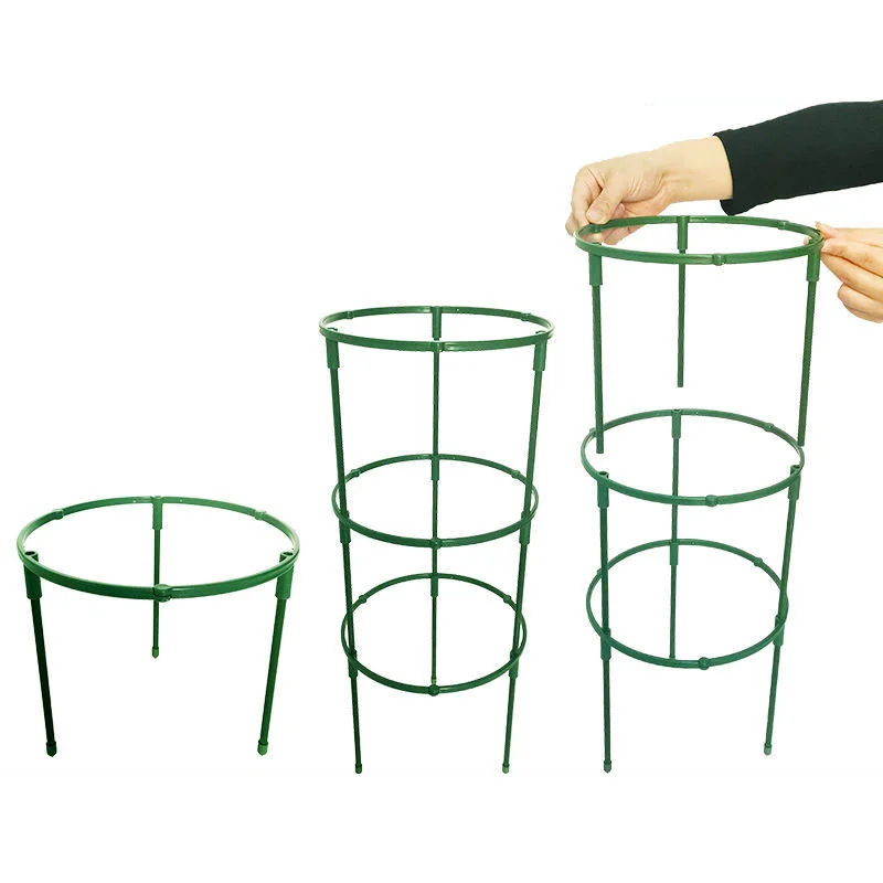 Plant Support Pile Stand climb for Flowers grow Semicircle Greenhouses Arrangement Fixing Rod Holder Orchard Garden Bonsai t1
Plant Support Pile Stand climb for Flowers grow Semicircle Greenhouses Arrangement Fixing Rod Holder Orchard Garden Bonsai t1