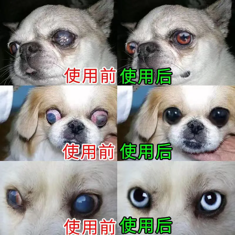 Dog cataract eye drops treat pet cat elderly dog early keratitis to tear stains pet eye drop water 20ml
Dog cataract eye drops treat pet cat elderly dog early keratitis to tear stains pet eye drop water 20ml