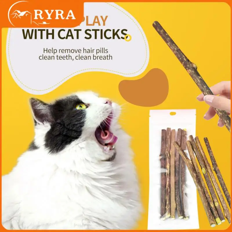 Кошачья мята для чистки зубов, жевательные игрушки для кошек, улучшает аппетит, без добавок, веселая жевательная игрушка для кошек, Угощение для натуральных растений
Кошачья мята для чистки зубов, жевательные игрушки для кошек, улучшает аппетит, без добавок, веселая жевательная игрушка для кошек, Угощение для натуральных растений