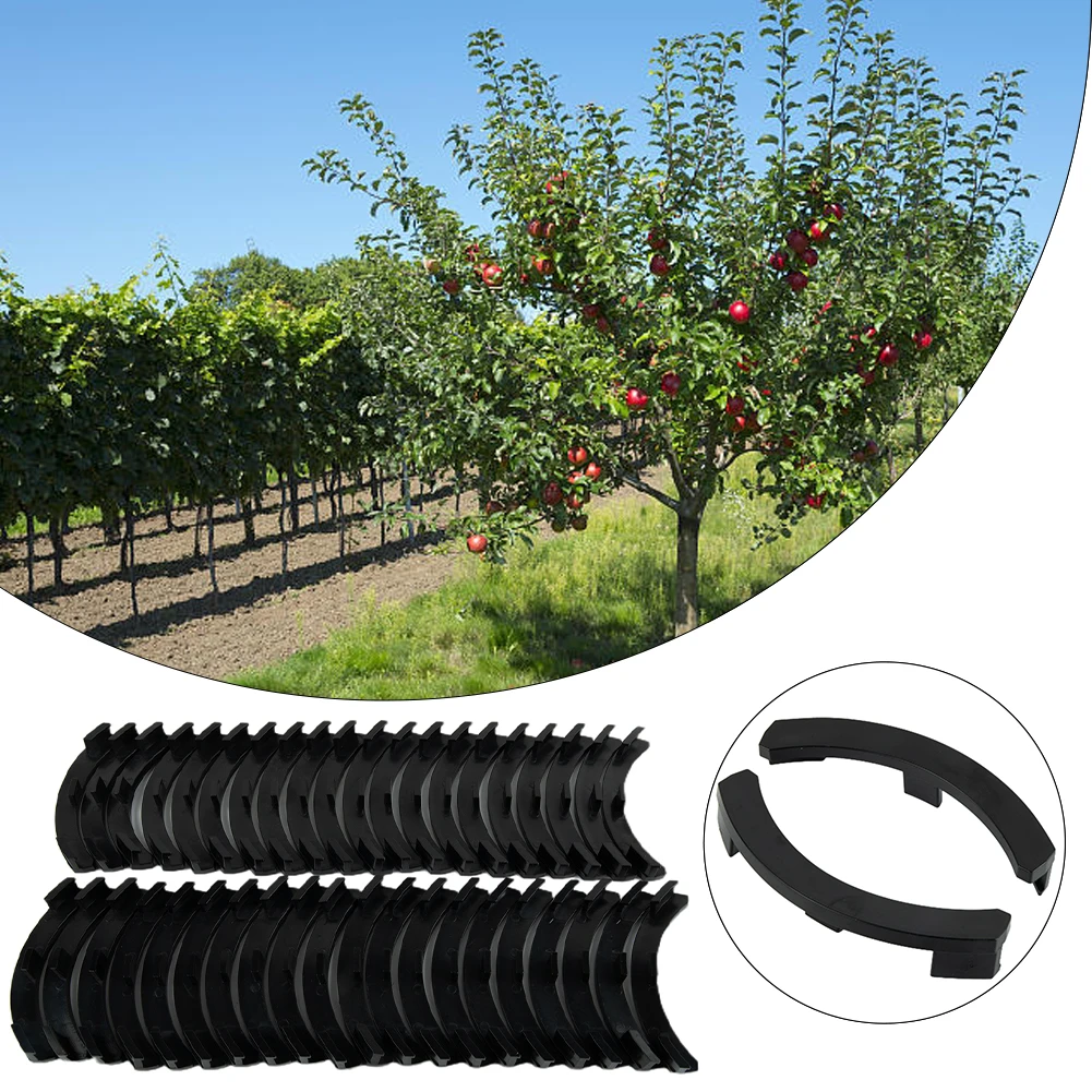 40PCS Fruit Tree Shaper Branch Trainer Bending Clips Bonsai Clip Fruit Tree Plastic Branch Puller Garden Tools Accessories
40PCS Fruit Tree Shaper Branch Trainer Bending Clips Bonsai Clip Fruit Tree Plastic Branch Puller Garden Tools Accessories