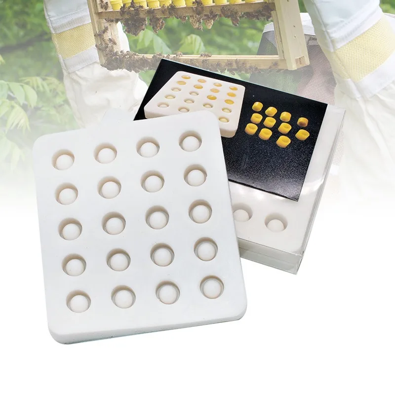 Beekeeping System Silicone Mold For Queen Bee Cells Wax Cell Cup Mold Beekeeping Tool
Beekeeping System Silicone Mold For Queen Bee Cells Wax Cell Cup Mold Beekeeping Tool
