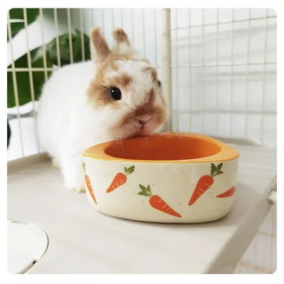 Pet Carrot Ceramic Food Bowl Rabbit Chinchilla Guinea Pig Guinea Pig Cat and Dog Food Bowl Pet Ceramic Cartoon Bowl
Pet Carrot Ceramic Food Bowl Rabbit Chinchilla Guinea Pig Guinea Pig Cat and Dog Food Bowl Pet Ceramic Cartoon Bowl